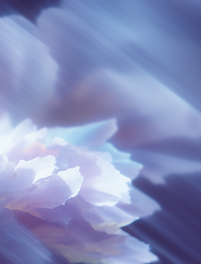 WebFX